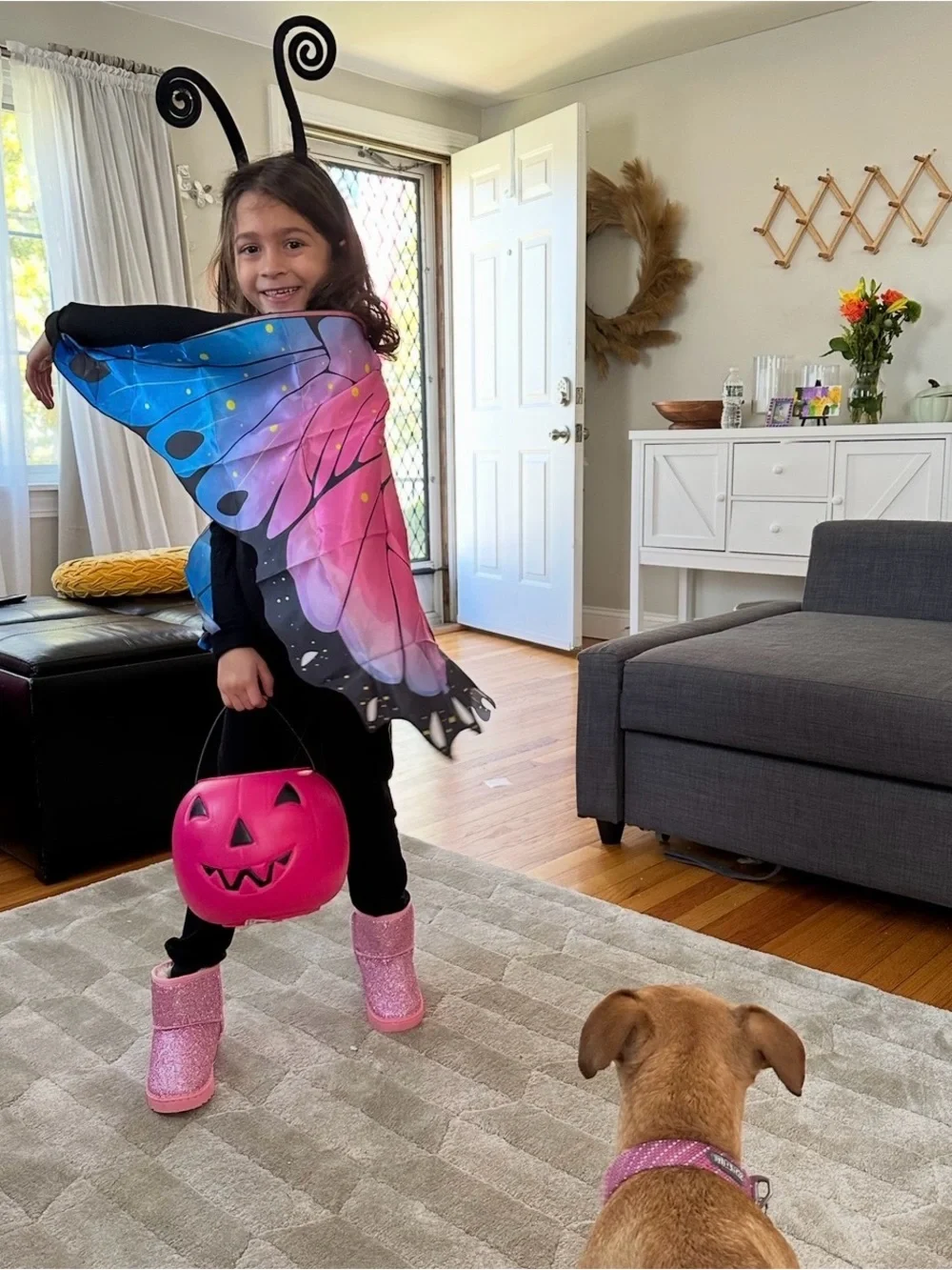 Kids Butterfly Wings Size Small Pink Blue Fairy Halloween Costume